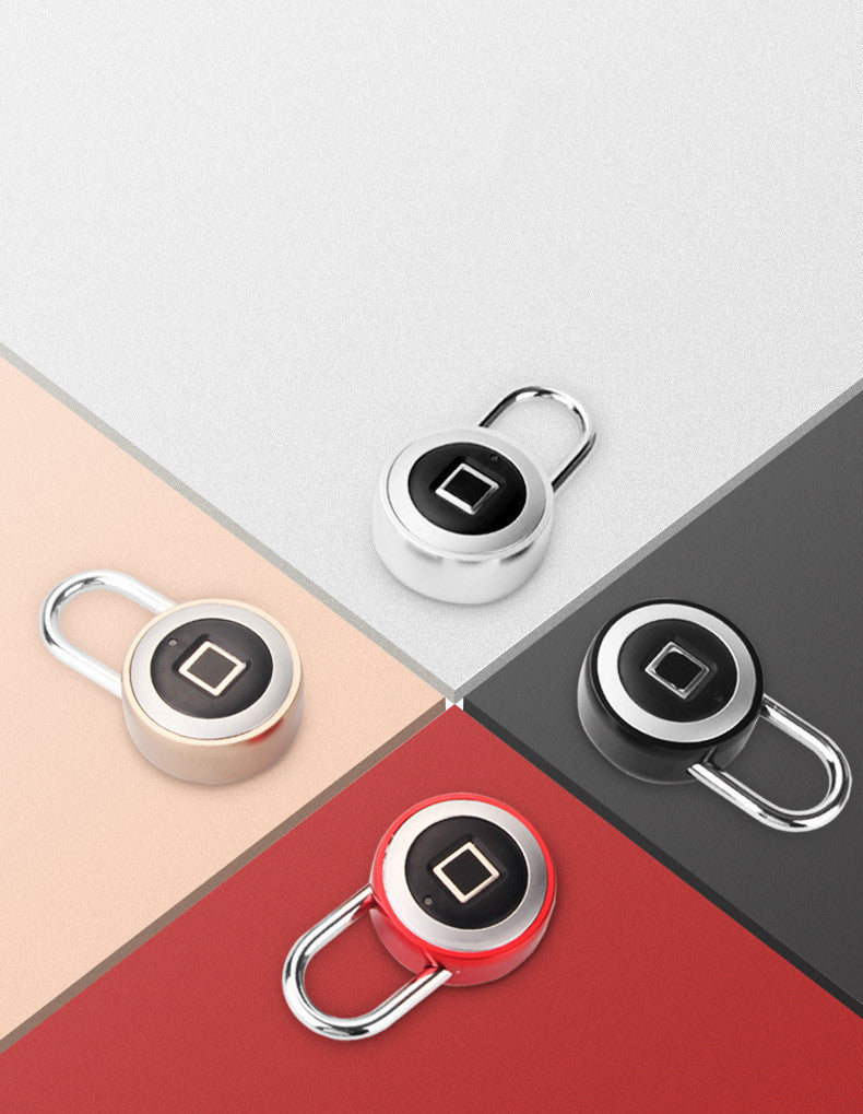 Fingerprint Anti-theft Locks
